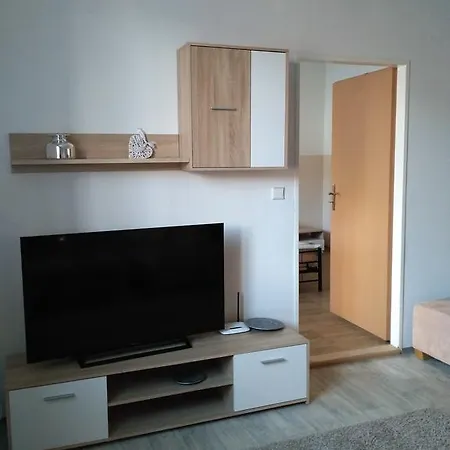 Goethe Appartement Sokolov